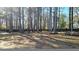 Large, fenced-in backyard features mature trees providing ample shade and privacy at 115 Bond Dr, Ellenwood, GA 30294