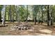 Wooded backyard with mature trees and a privacy fence offers a serene setting at 115 Bond Dr, Ellenwood, GA 30294