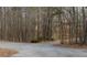 Long driveway leading to property surrounded by many wooded trees in a neighborhood at 86 Waterford Path, Hiram, GA 30141