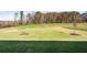 Large backyard with grassy area and treeline at 2780 Marie Way, Cumming, GA 30028
