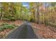 Long, winding driveway through wooded area, leading to a private and secluded property at 220 Spring Branch Dr, Canton, GA 30115
