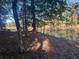 Peaceful waterfront view of a pond surrounded by trees at 100 Lakeside Dr, Covington, GA 30016