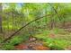 Wooded area with a shallow stream flowing over rocks at 160 Cross Rd, Covington, GA 30016