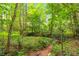 A peaceful wooded area with a small stream and lush greenery at 160 Cross Rd, Covington, GA 30016