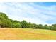 Pasture land with horses grazing; beautiful country setting at 160 Cross Rd, Covington, GA 30016