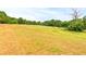Pasture land with horses grazing; beautiful country setting at 160 Cross Rd, Covington, GA 30016