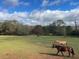 Horses graze on a green pasture underneath a blue, cloudy sky at 160 Cross Rd, Covington, GA 30016
