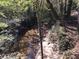 Backyard creek with trees and foilage surrounding it at 2787 Heritage Ln, Morrow, GA 30260
