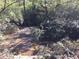 A nature view of the creek in the backyard surrounded by trees and foliage at 2787 Heritage Ln, Morrow, GA 30260