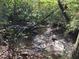 A nature view of the creek in the backyard surrounded by trees and foliage at 2787 Heritage Ln, Morrow, GA 30260