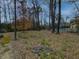 Spacious backyard features mature trees, lush greenery, and plenty of room to roam at 420 Argonne Nw Dr, Atlanta, GA 30305