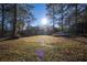 House backyard view with boat and sunny day at 6724 Oakland Dr, Douglasville, GA 30135