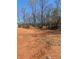 Vacant land ready for new construction with a wooded backdrop and blue sky at 6145 Grindle Rd, Cumming, GA 30041