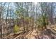 An expansive backyard overlooks a private wooded area with mature trees and metal fencing at 208 Kenninghall Ln # 627, Smyrna, GA 30082