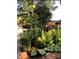 Lush landscaping with a variety of plants and flowers, adding curb appeal at 2479 Landeau Cir, Tucker, GA 30084