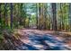 Driveway leading to a serene home, surrounded by nature's beauty at 4771 Cool Springs Rd, Winston, GA 30187