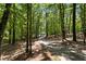 View of the long driveway leading through a tree-lined property, creating a private and scenic approach to the home at 291 Miquel Jorge Ln, Canton, GA 30115