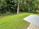 Expansive, lush backyard featuring green grass and mature trees, providing a serene outdoor space at 2071 Carthage Rd, Tucker, GA 30084