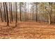 Wooded lot with pine trees and a view of the lake at 12710 Old Surrey Pl, Roswell, GA 30075