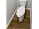 Close-up view of toilet sitting on wood-look flooring at 3279 Wild Basil Ln, Buford, GA 30519