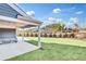 Newly sodded backyard with privacy fence at 112 Laurel Farms Ln, Dallas, GA 30157