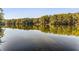 Scenic lake view surrounded by lush trees and calming water reflecting the sky at 8316 Hewlett Rd, Sandy Springs, GA 30350