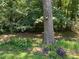 Backyard with a large tree and birdhouse at 2832 Jordan Forest Nw Trl, Lawrenceville, GA 30044