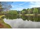 Serene lake view with lush greenery and blue skies at 261 Quail Run, Roswell, GA 30076