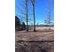 A grassy backyard bordered by large trees at 3030 Fairway Dr, Villa Rica, GA 30180