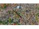 Aerial view showcasing a cabin with a long driveway winding through the forest at 49 Holly Springs Ne Rd, White, GA 30184