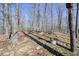 Fenced-in backyard area with sparse ground cover and a firepit surrounded by mature trees at 49 Holly Springs Ne Rd, White, GA 30184