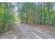 Scenic gravel driveway winding through mature trees, creating a tranquil entrance to the property at 1565 Dr Bramblett Rd, Cumming, GA 30028