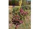 Landscaped garden featuring azaleas and irises in a natural setting at 1565 Dr Bramblett Rd, Cumming, GA 30028