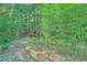 Scenic wooded acreage with lush bamboo growth offering privacy at 1565 Dr Bramblett Rd, Cumming, GA 30028