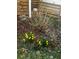 A flowerbed with blooming yellow daffodils in the early spring, complemented by budding trees and a wooden fence at 321 Bouldercrest Way, Woodstock, GA 30188