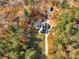 Aerial view of a home nestled among colorful autumn trees, with an expansive green lawn and mature landscaping at 775 N Ola N Rd, Mcdonough, GA 30252