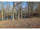 Wooded lakefront lot with a disc golf basket at 6740 Mountain Lake Ln, Cumming, GA 30028