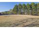 Large grassy yard with trees and a wooden fence at 6740 Mountain Lake Ln, Cumming, GA 30028