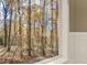 Close up view of the lush forest, as seen from inside the house at 271 Brooks Rackley Rd, Dallas, GA 30157