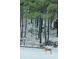 Snowy backyard with two deer in wooded area at 3554 Umatilla Sw Ln, South Fulton, GA 30331