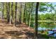 Peaceful pond view with wooded shoreline at 6220 Vickery Creek Rd, Cumming, GA 30040