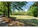 Open green space next to a tree-lined street at 6830 Vickery Creek Rd, Cumming, GA 30040