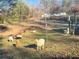 Goats grazing in the fenced yard on a sunny day, creating a pastoral scene at 3975 Mcconnell Rd, Cumming, GA 30028