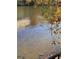 Beautiful lake view showcasing clear waters and a serene wildlife setting with ducks at 1416 Lucan Ln # Wc220, Lawrenceville, GA 30043