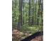 A view of the construction area in the backyard with mature trees and undergrowth, providing natural beauty at 542 Palm St, Holly Springs, GA 30115