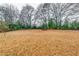 Open backyard with tall trees and a woodpile at 4685 Ruby Ln, Forest Park, GA 30297