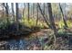 A small creek with rock bed flowing through the property surrounded by mature trees and foliage at 355 Clark Creek Pass, Acworth, GA 30102