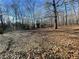 Large backyard with mature trees and storage shed at 1678 Se Christian Cir, Conyers, GA 30013