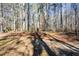 Wooded backyard area with tall trees at 175 Smith Ferguson Rd, Dallas, GA 30157