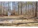 Wooded area behind the house providing privacy at 175 Smith Ferguson Rd, Dallas, GA 30157